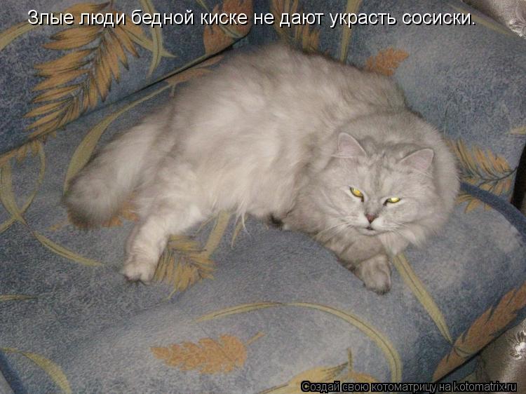 Котоматрица: Злые люди бедной киске не дают украсть сосиски.