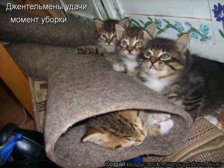 Джентельмены удачи момент уборки... Котоматрица: Джентельмены удачи момент уборки