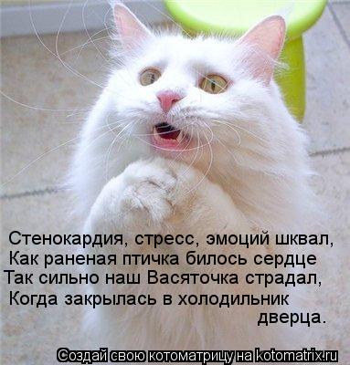 Котоматрица: Стенокардия, стресс, эмоций шквал,  Как раненая птичка билось сердце Так сильно наш Васяточка страдал, Когда закрылась в холодильник  дверц