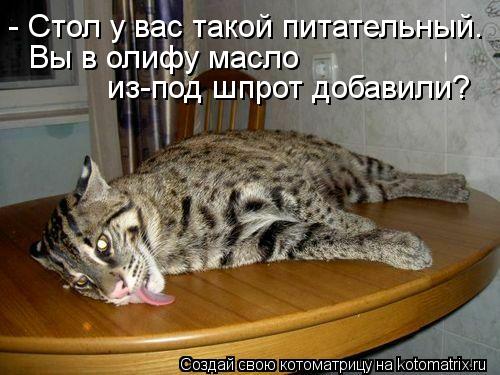 - Стол у вас такой питательный. Вы в олифу масло из-под шпрот добавили?... Котоматрица: - Стол у вас такой питательный. Вы в олифу масло из-под шпрот добавили?