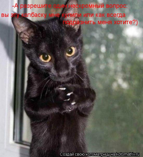 Котоматрица: -А разрешите один нескромный вопрос:  вы эту колбаску мне купили или как всегда подразнить меня хотите?)