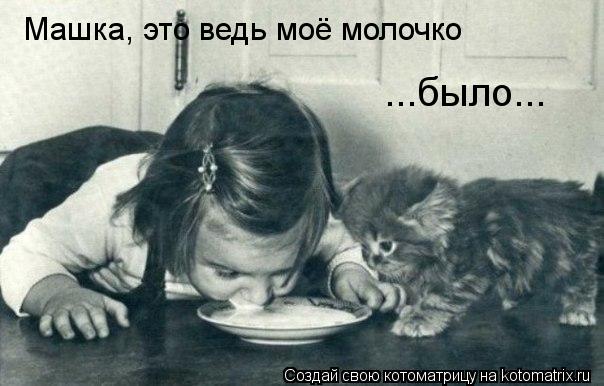 Котоматрица: Машка, это ведь моё молочко ...было...