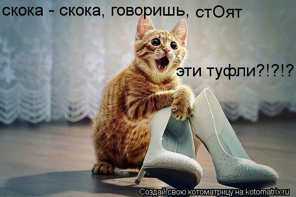 Котоматрица: скока - скока, говоришь, стОят  эти туфли?!?!?