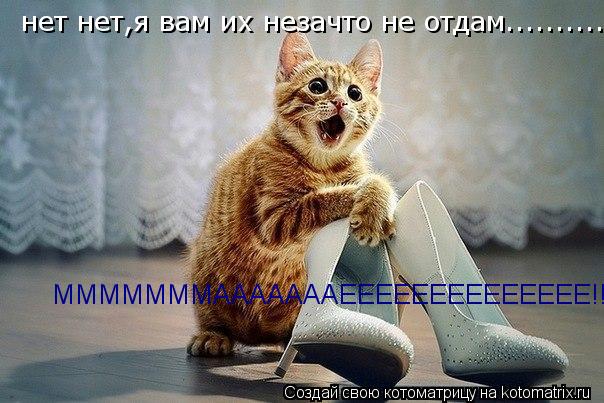 Котоматрица: нет нет,я вам их незачто не отдам.......... нет нет,я вам их незачто не отдам..........  МММММММАААААААЕЕЕЕЕЕЕЕЕЕЕЕЕЕ!!!!!!!!