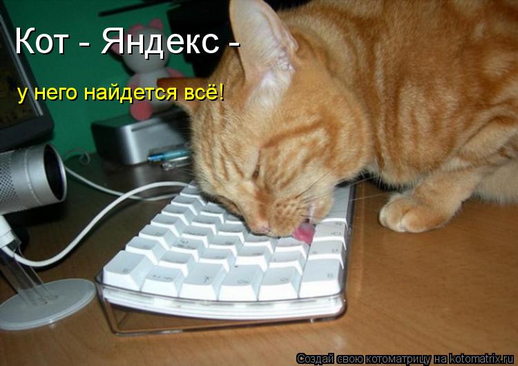 Котоматрица: Кот - Яндекс -  у него найдется всё!