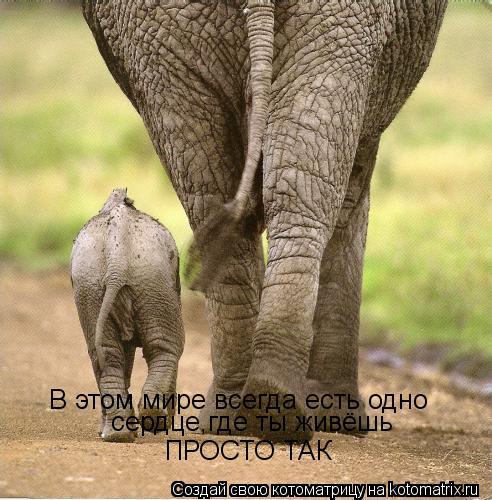 Котоматрица: В этом мире всегда есть одно сердце,где ты живёшь ПРОСТО ТАК