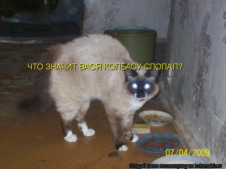 Котоматрица: ЧТО ЗНАЧИТ ВАСЯ КОЛБАСУ СЛОПАЛ?