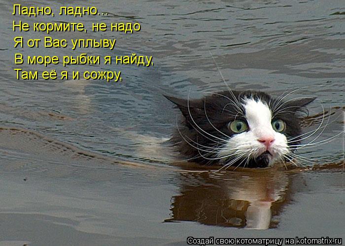 Котоматрица: Ладно, ладно... Не кормите, не надо Я от Вас уплыву В море рыбки я найду, Там её я и сожру,