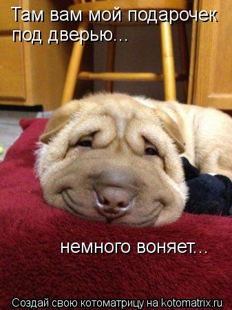 Котоматрица: Там вам мой подарочек под дверью... немного воняет...
