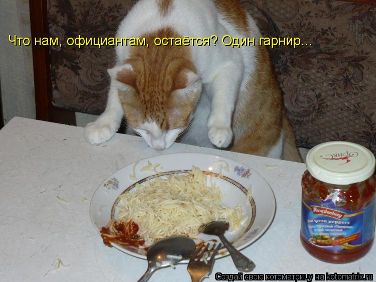 Котоматрица: Что нам, официантам, остаётся? Один гарнир...