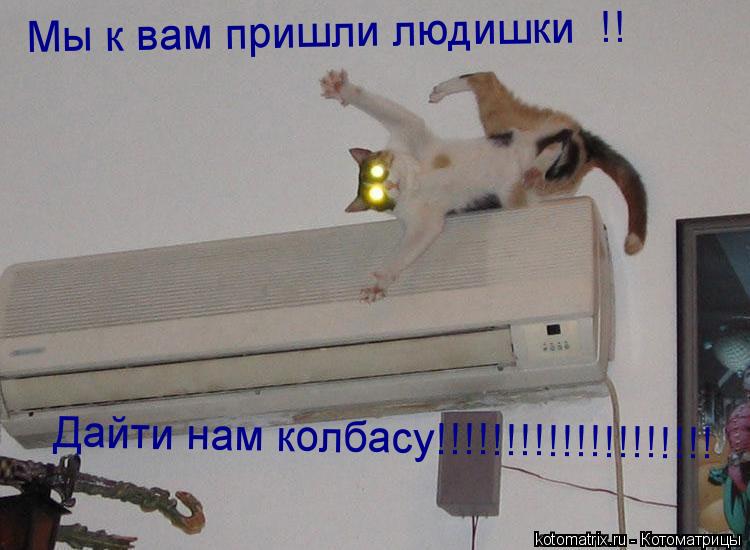 Котоматрица: Мы к вам пришли людишки  !! Дайти нам колбасу!!!!!!!!!!!!!!!!!!!!