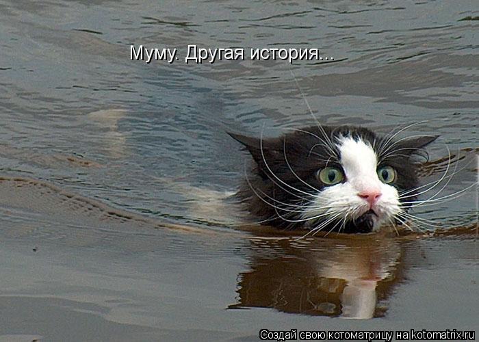 Котоматрица: Муму. Другая история...