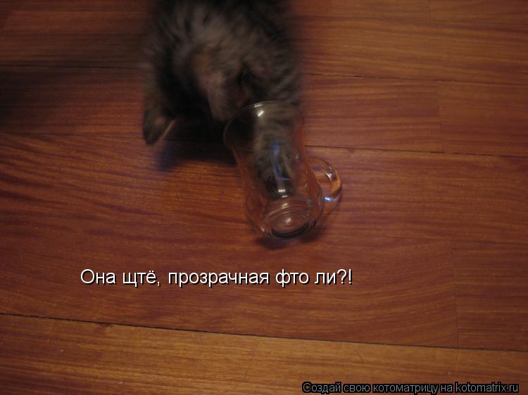 Котоматрица: Она щтё, прозрачная фто ли?!