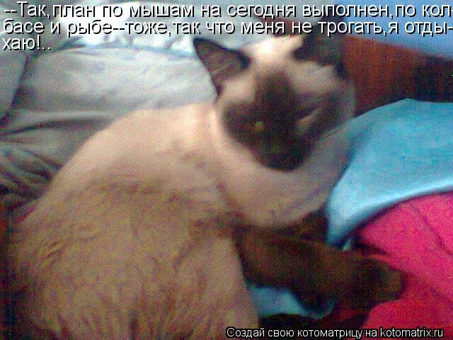 Котоматрица: --Так,план по мышам на сегодня выполнен,по кол- басе и рыбе--тоже,так что меня не трогать,я отды- хаю!..