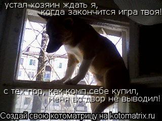 Котоматрица: устал хозяин ждать я, когда закончится игра твоя! с тех пор, как комп себе купил, меня во двор не выводил!