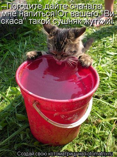 --Погодите,дайте сначала мне напиться!От вашего "Ви- скаса" такой сушняк жуткий!... Котоматрица: --Погодите,дайте сначала мне напиться!От вашего "Ви- скаса" такой сушняк жуткий!