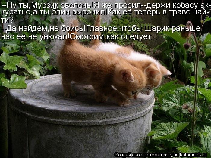 --Ну ты,Мурзик,сволочь!Я же просил--держи кобасу ак- куратно,а ты,блин,выронил!Как её теперь в траве ... Котоматрица: --Ну ты,Мурзик,сволочь!Я же просил--держи кобасу ак- куратно,а ты,блин,выронил!Как её теперь в траве най- ти? --Да найдём,не боись!Главное,чтобы