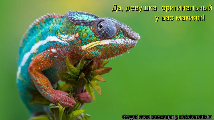 Да, девушка, оригинальный у вас макияж!... Котоматрица: Да, девушка, оригинальный у вас макияж!