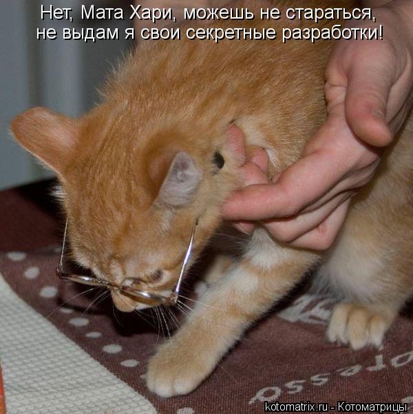 Нет, Мата Хари, можешь не стараться, не выдам я свои секретные разработки!... Котоматрица: Нет, Мата Хари, можешь не стараться, не выдам я свои секретные разработки!
