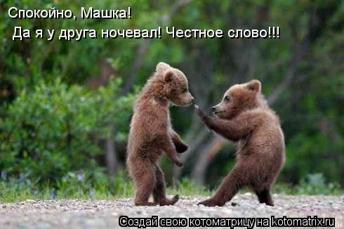 Котоматрица: Спокойно, Машка! Да я у друга ночевал! Честное слово!!!