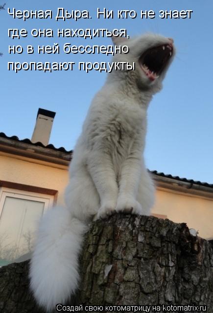Черная Дыра. Ни кто не знает где она находиться, но в ней бесследно пропадают продукты... Котоматрица: Черная Дыра. Ни кто не знает где она находиться, но в ней бесследно пропадают продукты