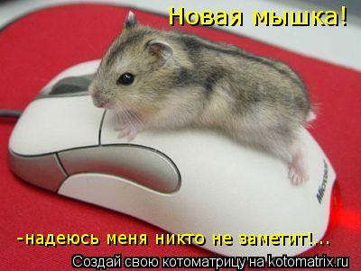 Новая мышка! -надеюсь меня никто не заметит!...... Котоматрица: Новая мышка! -надеюсь меня никто не заметит!...
