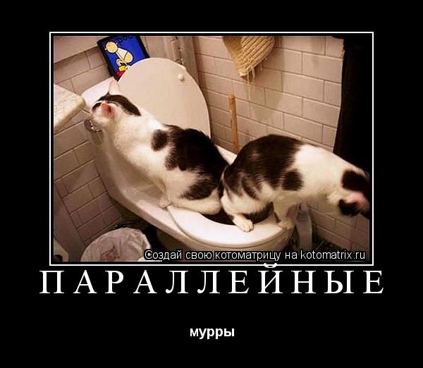 Котоматрица: Параллейные мурры