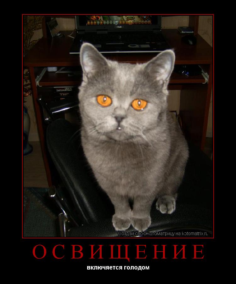 Котоматрица: освищение включяется голодом