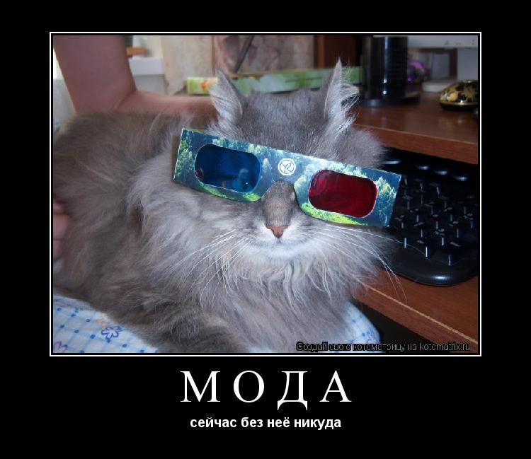 Котоматрица: Мода сейчас без неё никуда