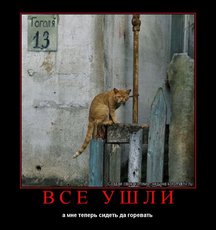 Котоматрица: ВСЕ УШЛИ а мне теперь сидеть да горевать 