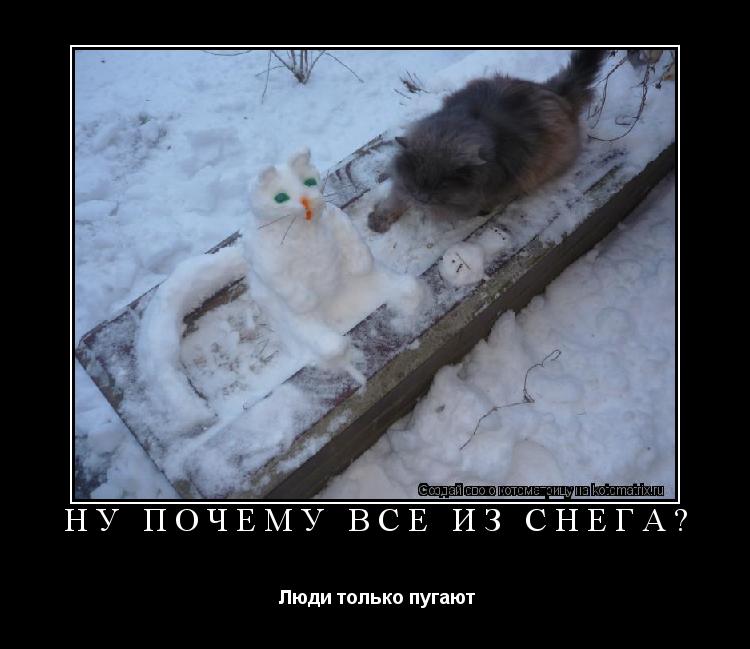 Котоматрица: ну почему всё из снега?  Люди только пугают