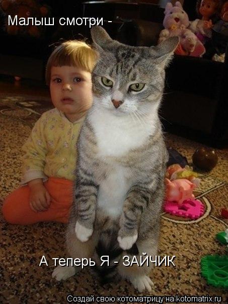 Малыш смотри - А теперь Я - ЗАЙЧИК... Котоматрица: Малыш смотри - А теперь Я - ЗАЙЧИК