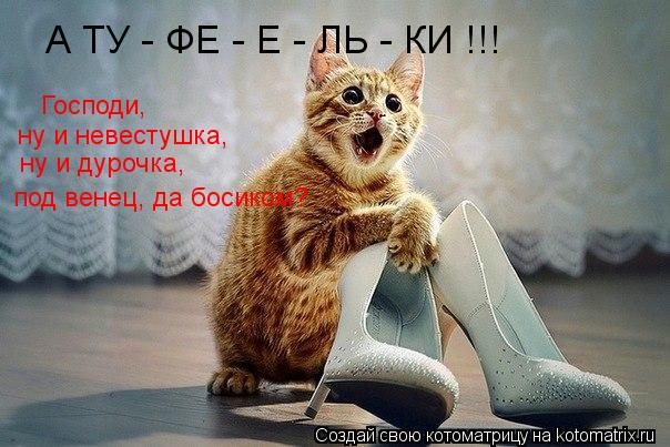 А ТУ - ФЕ - Е - ЛЬ - КИ !!! Господи, ну и невестушка, ну и дурочка, под венец, да босиком?... Котоматрица: А ТУ - ФЕ - Е - ЛЬ - КИ !!! Господи, ну и невестушка, ну и дурочка, под венец, да босиком?