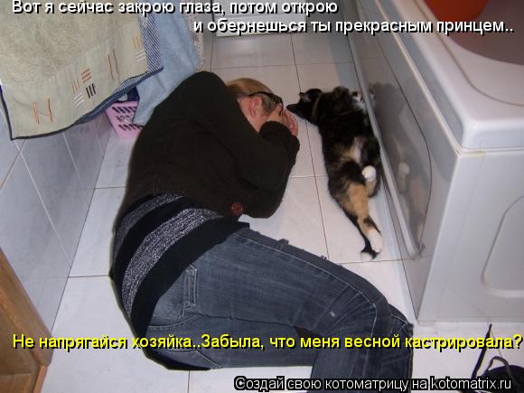 Вот я сейчас закрою глаза, потом открою и обернешься ты прекрасным принцем.. Не напрягайся хозяйка..З... Котоматрица: Вот я сейчас закрою глаза, потом открою и обернешься ты прекрасным принцем.. Не напрягайся хозяйка..Забыла, что меня весной кастрировала?