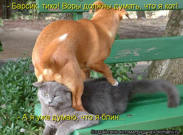 - Барсик, тихо! Воры должны думать, что я кот! - А я уже думаю, что я блин...... Котоматрица: - Барсик, тихо! Воры должны думать, что я кот! - А я уже думаю, что я блин...