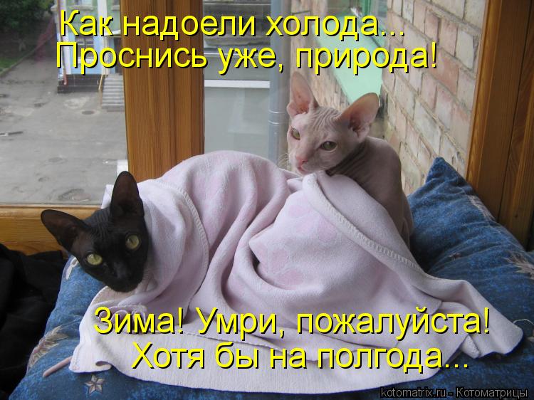Как надоели холода... Проснись уже, природа! Зима! Умри, пожалуйста! Хотя бы на полгода...... Котоматрица: Как надоели холода... Проснись уже, природа! Зима! Умри, пожалуйста! Хотя бы на полгода...