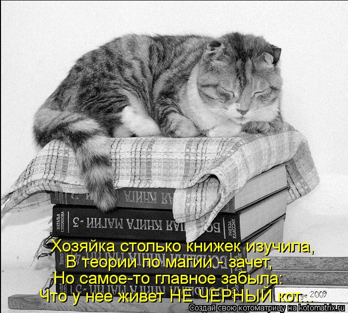 Котоматрица: Хозяйка столько книжек изучила, В теории по магии - зачет, Но самое-то главное забыла: Что у нее живет НЕ ЧЕРНЫЙ кот...