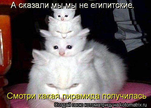 А сказали мы мы не египитские. А сказали мы мы не египитские. Смотри какая пирамида получилась А сказ... Котоматрица: А сказали мы мы не египитские. А сказали мы мы не египитские. Смотри какая пирамида получилась А сказали мы мы не египитские.