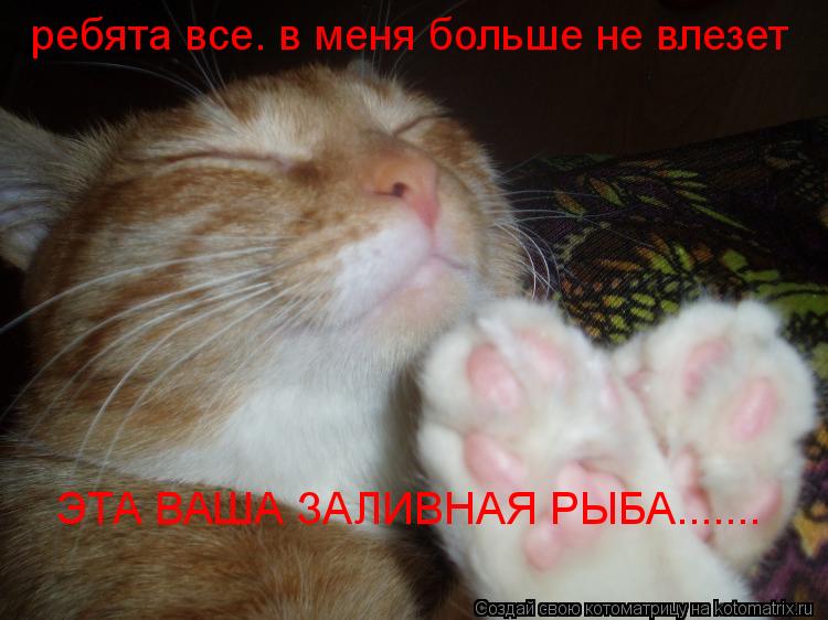 ребята все. в меня больше не влезет ЭТА ВАША ЗАЛИВНАЯ РЫБА.......... Котоматрица: ребята все. в меня больше не влезет ЭТА ВАША ЗАЛИВНАЯ РЫБА.......