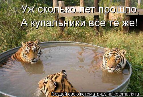 Котоматрица: Уж сколько лет прошло,  А купальники все те же!