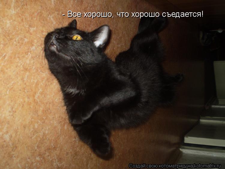 - Все хорошо, что хорошо съедается!... Котоматрица: - Все хорошо, что хорошо съедается!