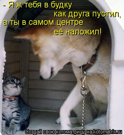 Котоматрица: - Я ж тебя в будку  а ты в самом центре её наложил! как друга пустил,