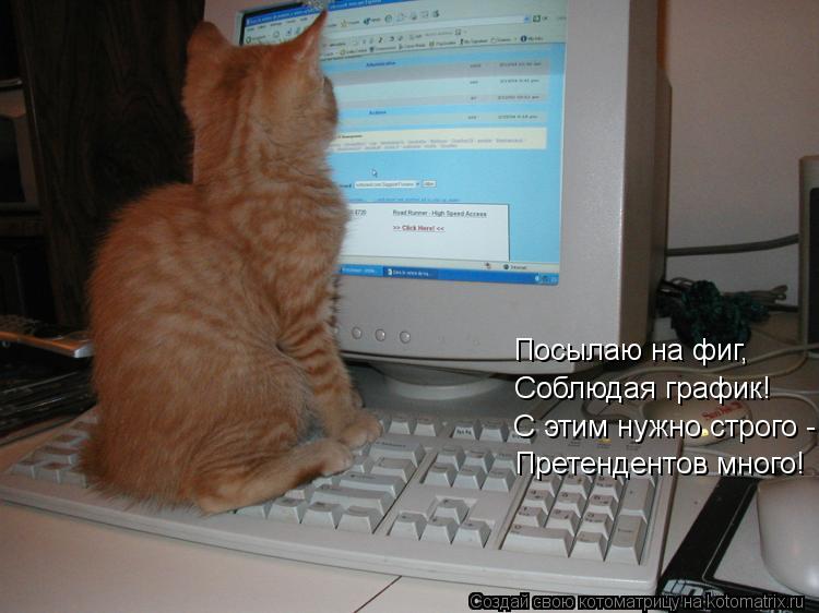Котоматрица: Посылаю на фиг,  Соблюдая график!  С этим нужно строго -  Претендентов много!