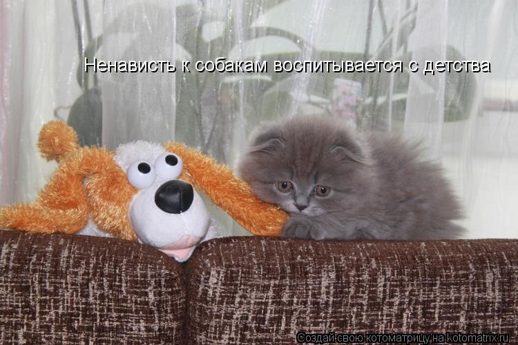 Котоматрица: Ненависть к собакам воспитывается с детства