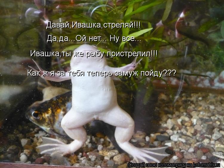 Котоматрица: Давай,Ивашка,стреляй!!! Да,да...Ой нет... Ну все... Ивашка,ты же рыбу пристрелил!!! Как ж я за тебя теперь замуж пойду???