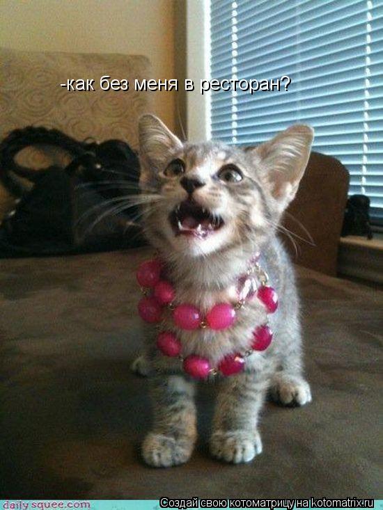 Котоматрица: -как без меня в ресторан?