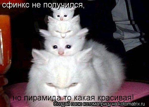 сфинкс не получился, но пирамида то какая красивая!... Котоматрица: сфинкс не получился, но пирамида то какая красивая!