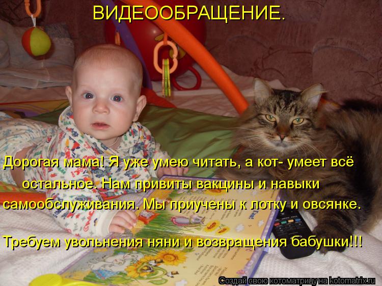 ВИДЕООБРАЩЕНИЕ. Дорогая мама! Я уже умею читать, а кот- умеет всё остальное. Нам привиты вакцины и н... Котоматрица: ВИДЕООБРАЩЕНИЕ. Дорогая мама! Я уже умею читать, а кот- умеет всё остальное. Нам привиты вакцины и навыки самообслуживания. Мы приучены к ло