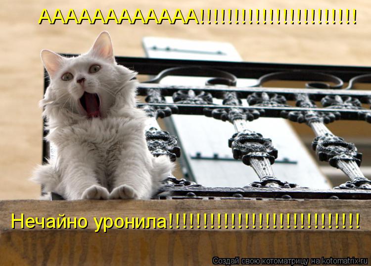 Котоматрица: АААААААААААА!!!!!!!!!!!!!!!!!!!!!!! Нечайно уронила!!!!!!!!!!!!!!!!!!!!!!!!!!!!