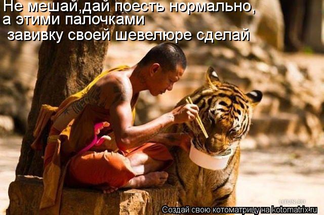 Котоматрица: Не мешай,дай поесть нормально, а этими палочками  завивку своей шевелюре сделай